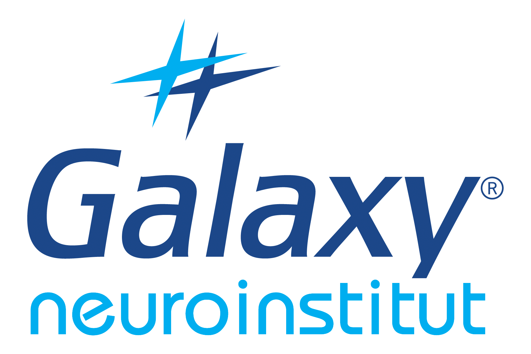 HLAVNI Logo_GALAXY_neuroinstitut_RGB